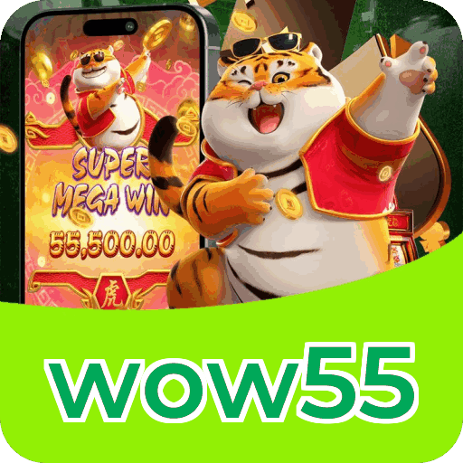 Resumo do fluxo de instalação do app wow55 — ilustração editorial